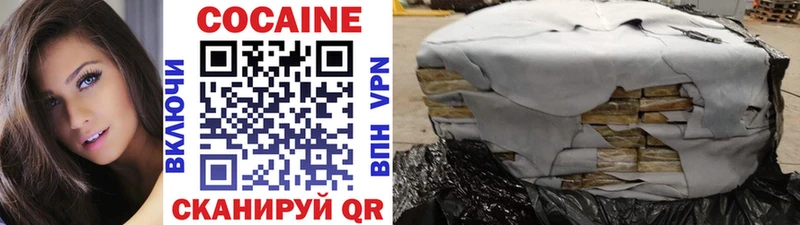 Cocaine FishScale  Купить закладки  Краснозаводск 